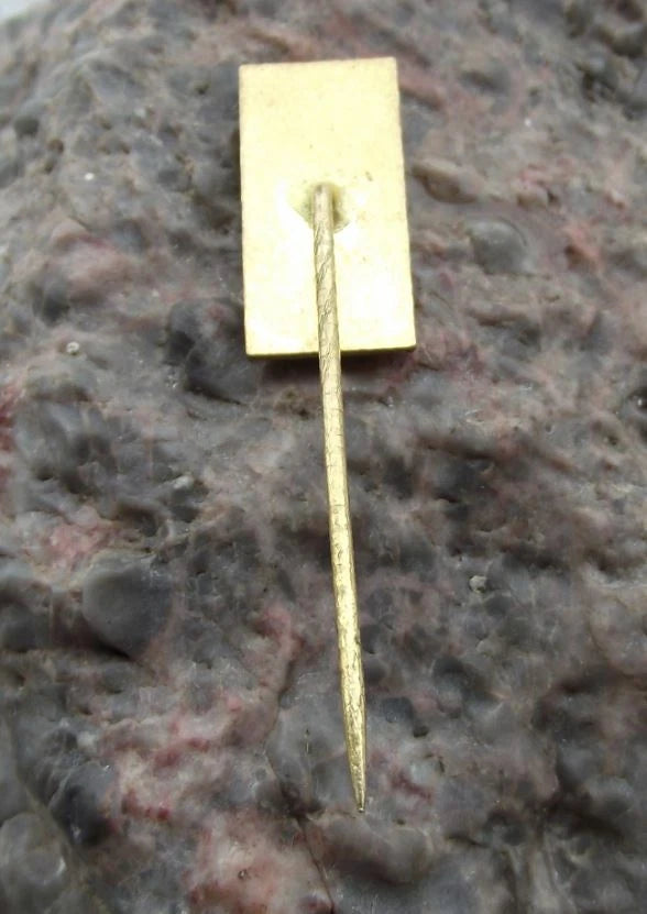 Vintage Turnov Czech Gemstone Working Renaissance Town Hall Pin Badge