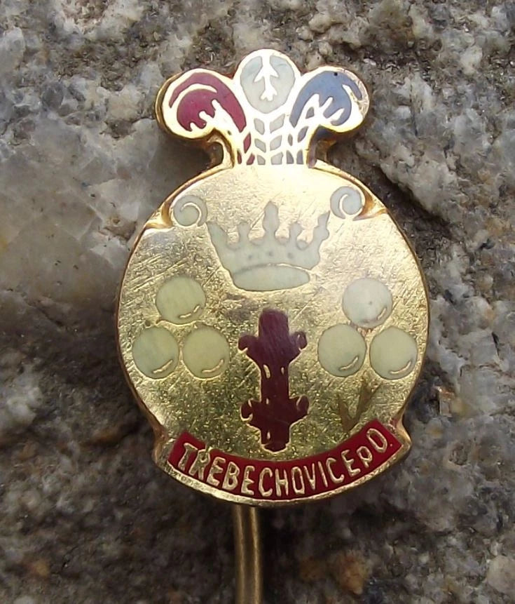 Vintage Třebechovice pod Orebem Coat of Arms Heraldic Crest Souvenir Pin Badge