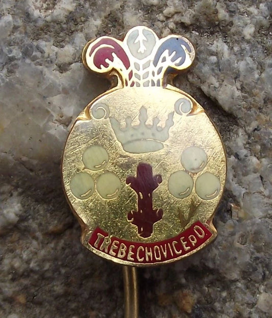 Vintage Třebechovice pod Orebem Coat of Arms Heraldic Crest Souvenir Pin Badge