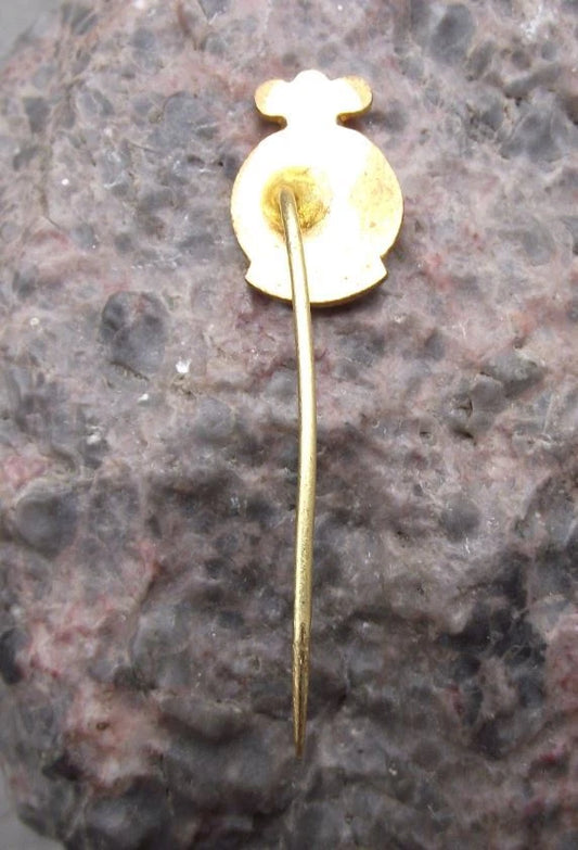 Vintage Třebechovice pod Orebem Coat of Arms Heraldic Crest Souvenir Pin Badge