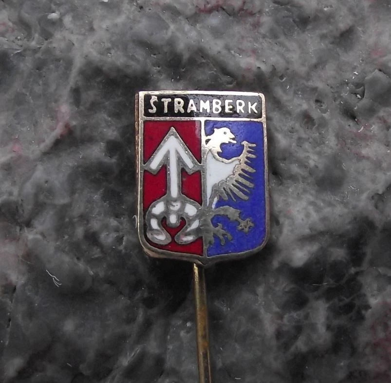 Vintage Štramberk Eagle Arrow Official Coat of Arms Czech Heraldic Pin Badge