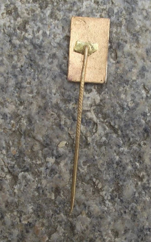 Vintage Strážnice Neolithic Linear Pottery Culture Cracked Jug Czech Town Pin Badge