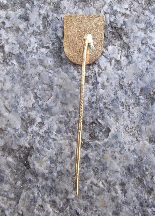 Vintage Svitavy Town Coat of Arms Bull Head Castle Wall Heraldic Crest Pin Badge