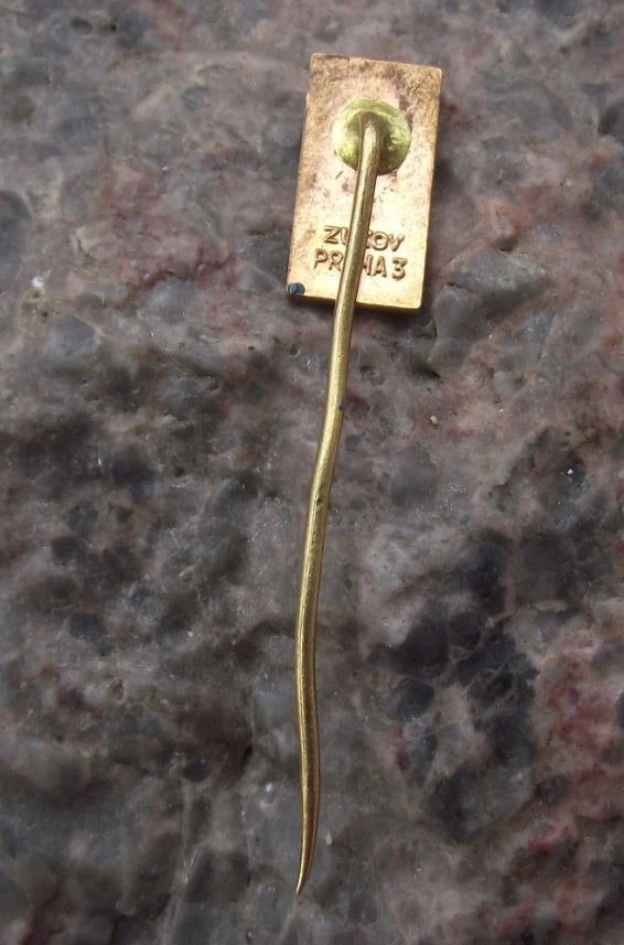 Vintage Susice Sušice Plzen Sunrise Pine Trees Tourist Souvenir Pin Badge