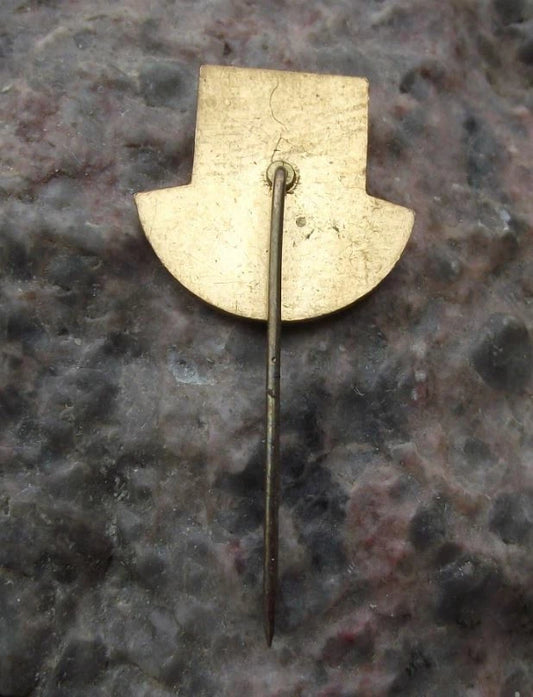 Vintage Svidnik Czechoslovakia Heraldic Crest Coat of Arms Shield Pin Badge
