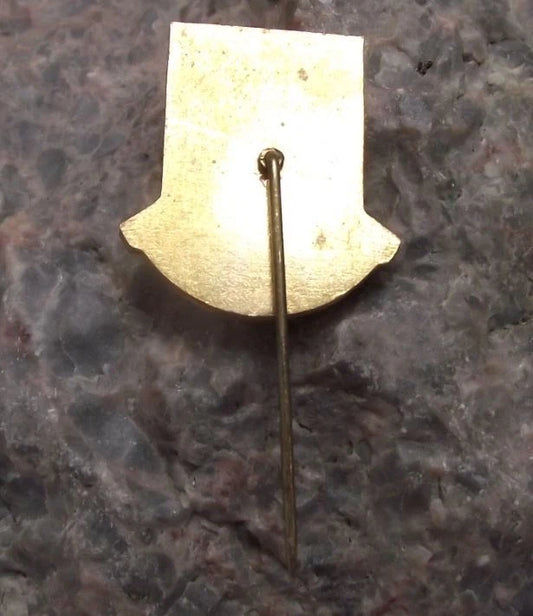 Vintage Strbske Pleso Štrbské Pleso Czech Heraldic Crest Coat of Arms Pin Badge