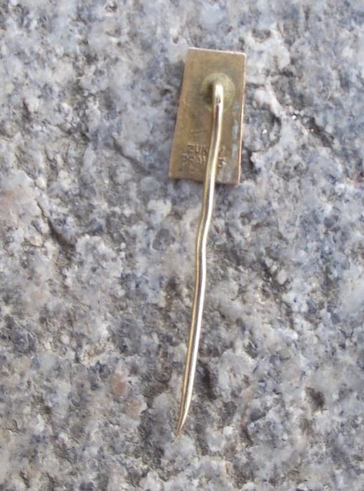 Vintage Sokolov Falkenau an der Eger Tourist Souvenir Travel Pin Badge