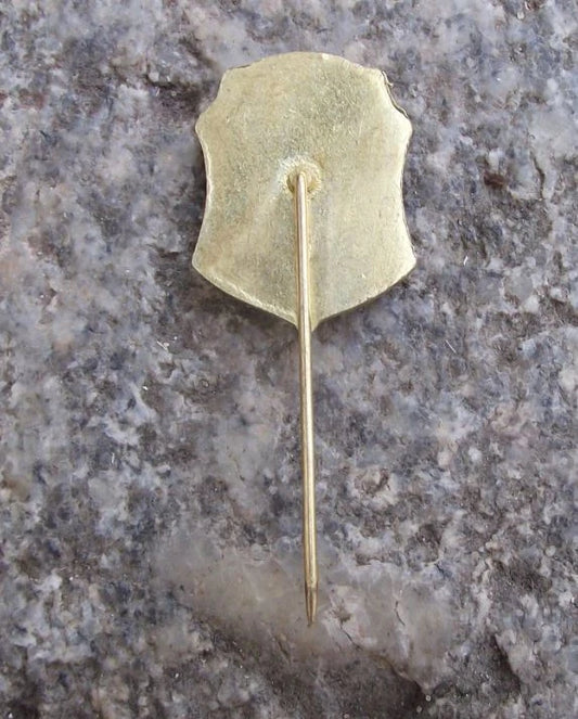 Vintage SZ Rájec nad Svitavou Castle State Palace Coat of Arms Pin Badge