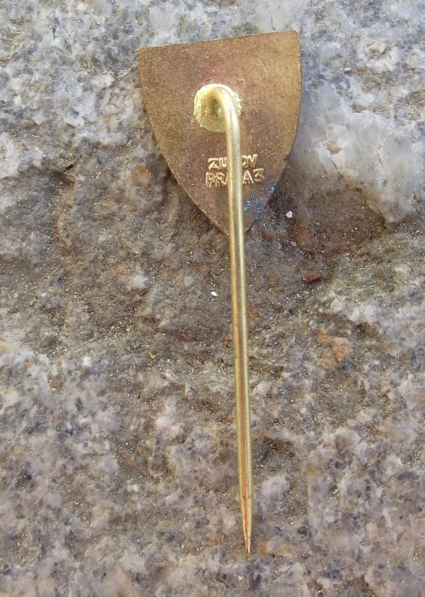 Vintage Ceske Budejovice Rampant Lion Castle Heraldic Crest Souvenir Pin Badge