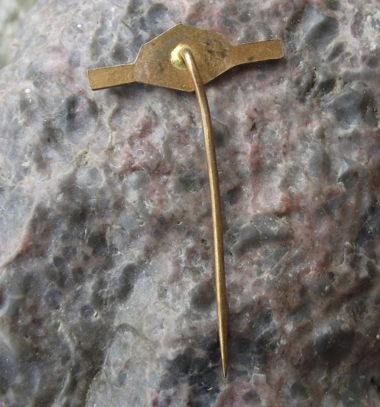 Vintage Česká Skalice Museum of Czech Writer Božena Němcová Pin Badge