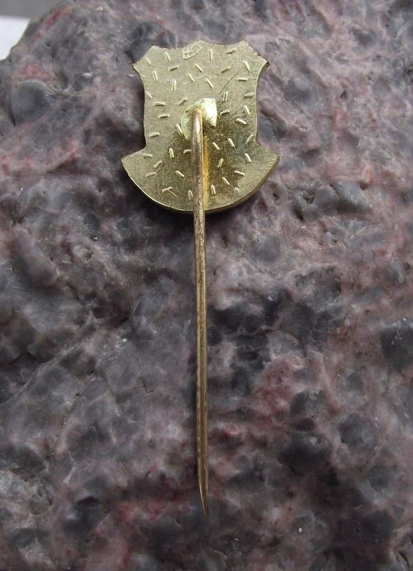 Vintage Česká Lípa Stag Horn Knight Helmet City Walls Heraldic Crest Pin Badge
