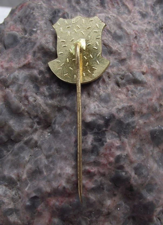 Vintage Česká Lípa Stag Horn Knight Helmet City Walls Heraldic Crest Pin Badge