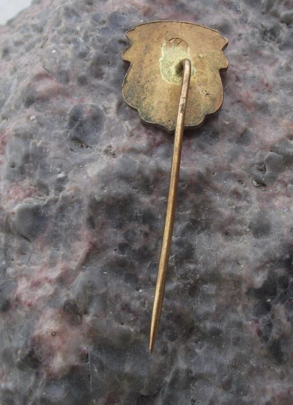 Vintage Celakovice Čelákovice Bohemia Oak Tree Heraldic Crest Shield Pin Badge