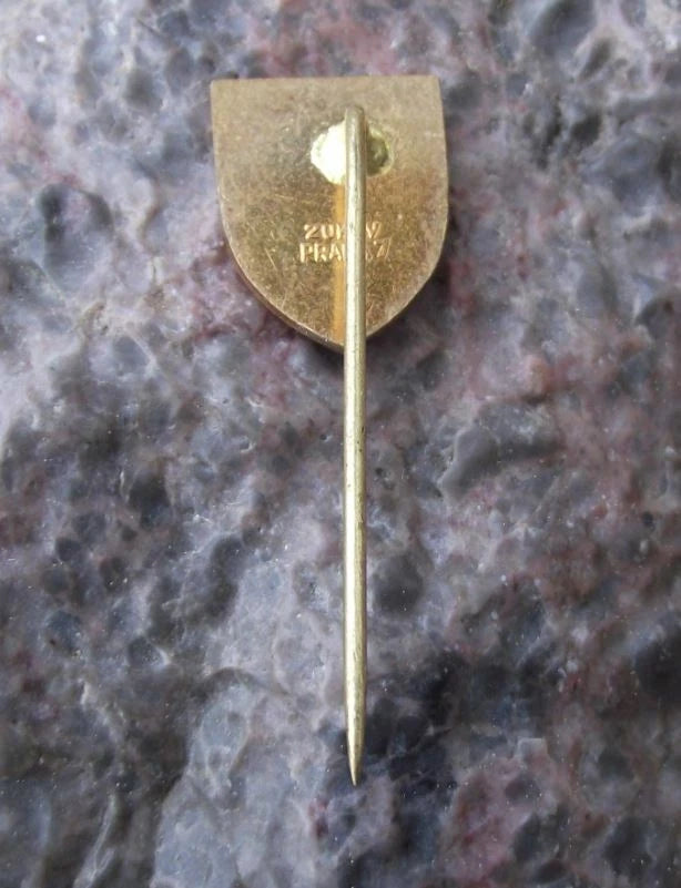 Vintage Český Brod Czech Town Coat of Arms Heraldic Crest Shield Pin Badge