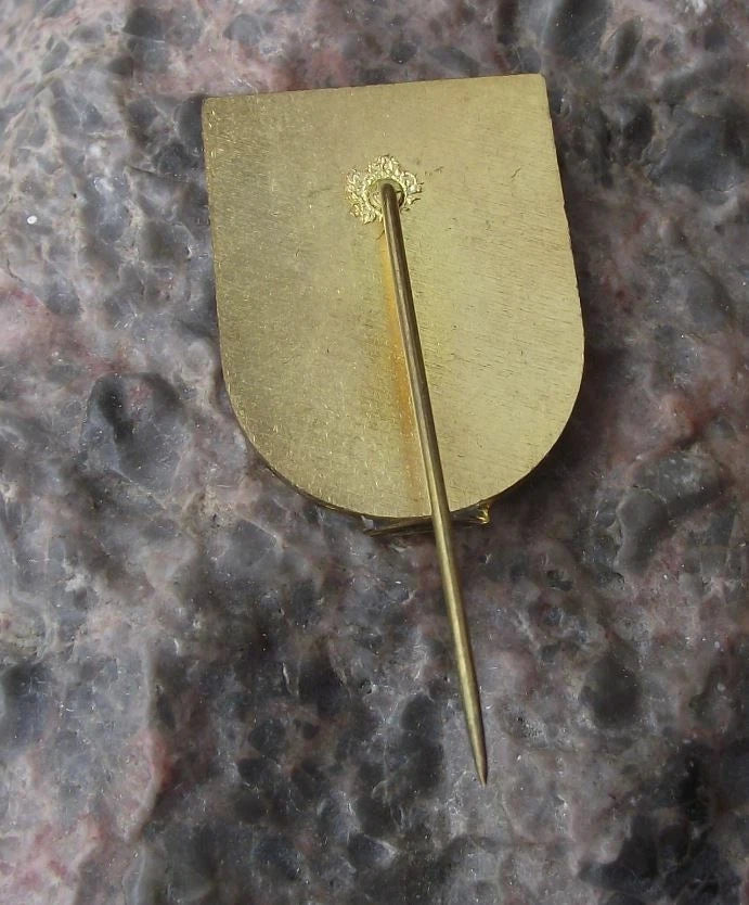 Vintage Čechynce Slovakia Heraldic Crest Arm Coat of Arms Souvenir Pin Badge