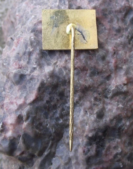 Vintage Dobruška Home to Czech Nationalist Writer Alois Jirásek Pin Badge