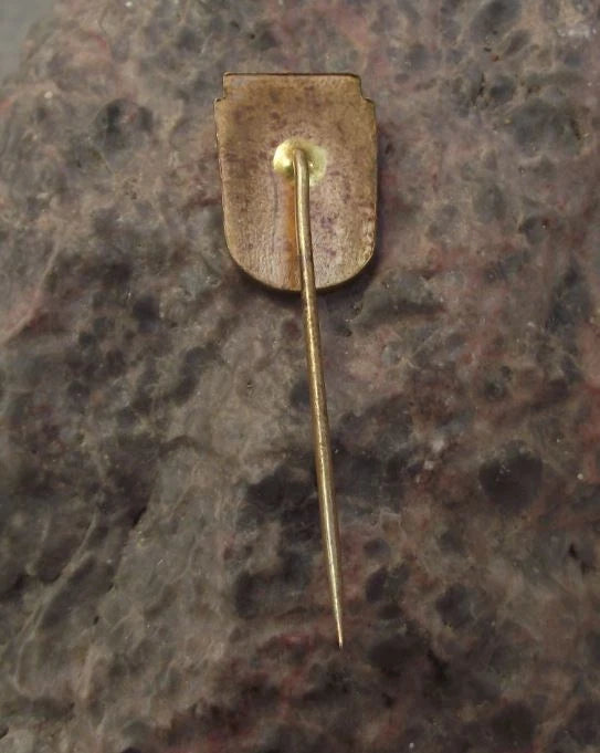 Vintage Děčín Czech Heraldic Crest Official Coat of Arms Pin Badge