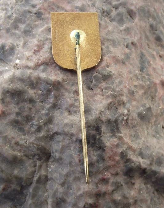 Vintage Dvůr Králové nad Labem Czech Heraldic Crest Official Coat of Arms Pin Badge