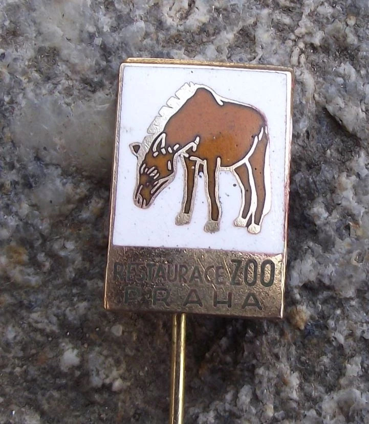 Vintage Prague Zoo Restaurant Przewalski Mongolian Wild Horse Pin Badge