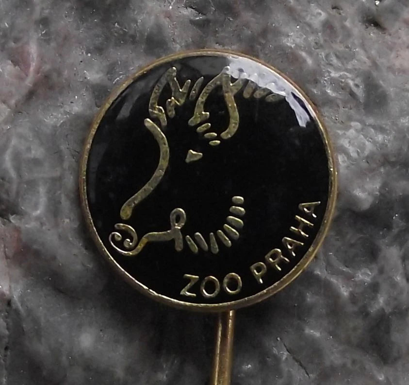 Vintage Prague Zoo Wild Pig Hairy Boar Pin Badge