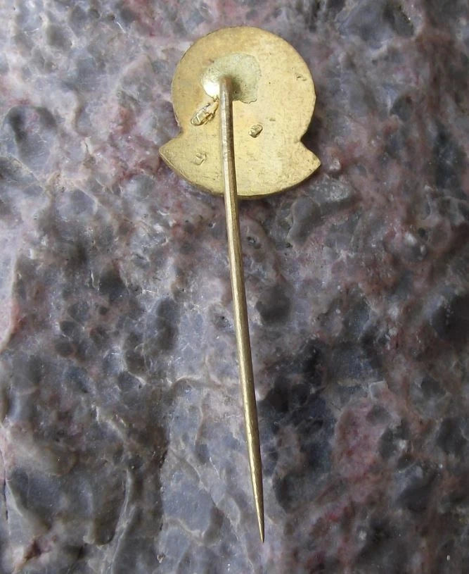 1981 Prague Zoo Czech Przewalski Mongolian Wild Horse 50th Anniversary Pin Badge