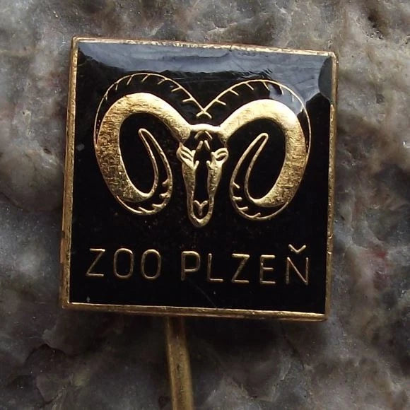 Vintage Plzen Zoo Rare Endangered Mouflon Wild Mountain Sheep Park Pin Badge
