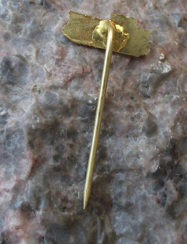 Czechoslovakia Railway CSD Diesel Shunter Cargo Train Engine Rail Pin Badge