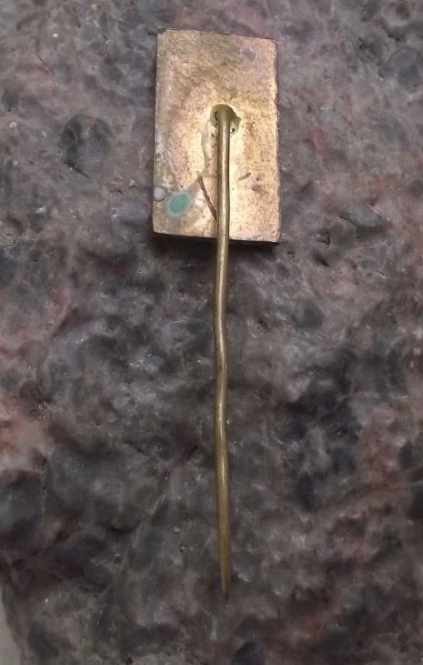 Vintage Trebechovice pod Orebem Coat of Arms Heraldic Crest Souvenir Pin Badge