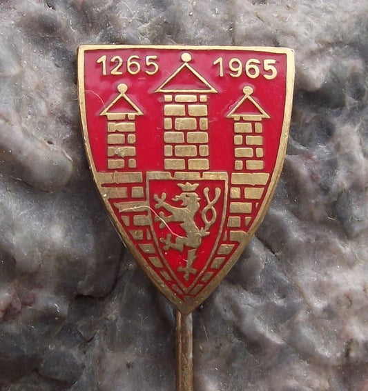 1965 Ceske Budejovice Rampant Lion Czech Heraldic Crest Souvenir Pin Badge