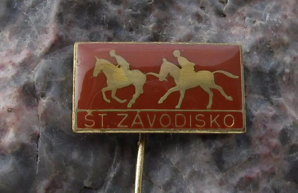 Vintage Slovakia State National Race Course Horse Racing Finish Pin Badge