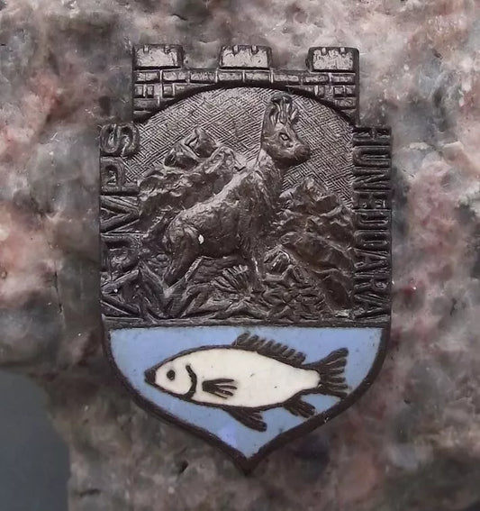 Vintage Romanian Hunting Fishing Association Hunedoara District Pin Badge