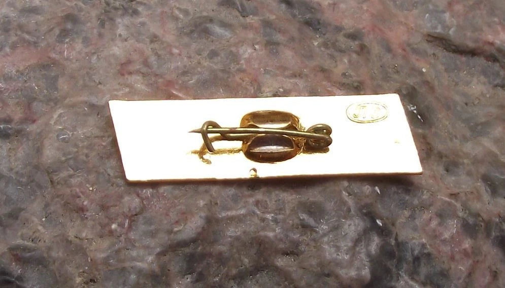 1967 Russian Battle Cruiser Aurora October Bolshevik Revolution Pin Badge