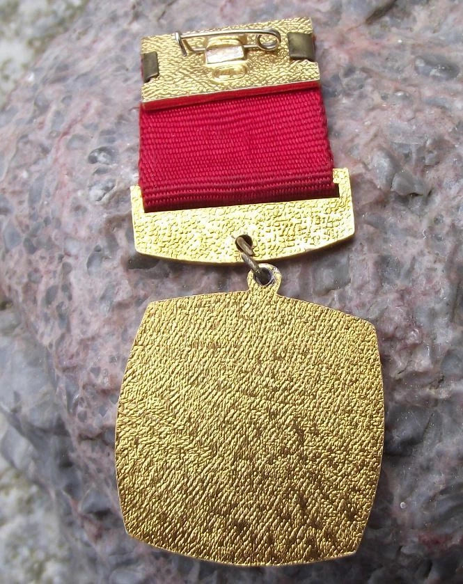 1972 Soviet Union 50th Anniversary Russian Civil War Communist Medal Pin Badge
