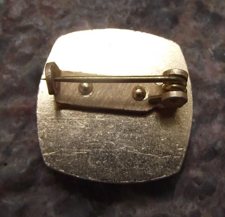 Vintage Pioneer Czech Scouts Practical Woman Girl Award Pin Badge