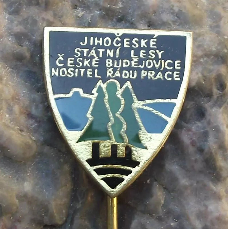 Vintage Ceske Budejovice State Forestry Commission Czechoslovakia Pin Badge