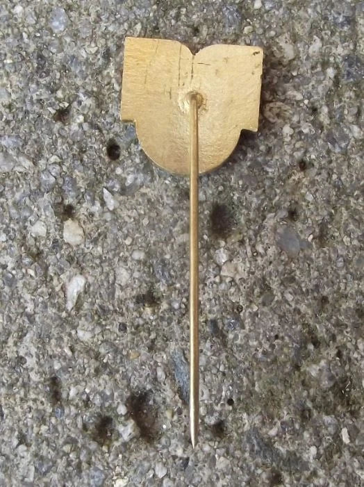 Vintage Czechoslovakia Railway CSD Train Network North West Region Pin Badge